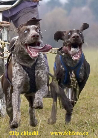 MR Tri studne - 072a.jpg